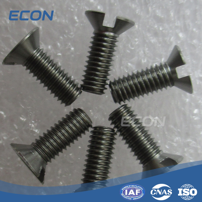 Pure Molybdenum Screw